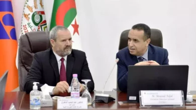 Collaboration between Sonelgaz and Libyan Jecol - Al-Hiwar Al-Jazaeryia