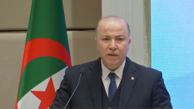 Prime Minister: Our goal is to reach one million project holders next year