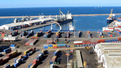 Producers: Facilitating procedures for entering foreign markets is a necessity - Al-Hiwar Algeria