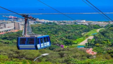 Starting from Sunday to the 23rd of January, a temporary stop for the aerial lift between the Garden of Experiments and the shrine of the martyr - Al-Hiwar Al-Jazairia