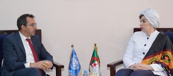 The Resident Coordinator of the United Nations Organization in Algeria appreciates the project of cultural parks - the Algerian Dialogue