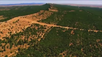 Towards the opening of 515 km of tracts and the completion of 91 artesian wells by 2030 in the Green Dam