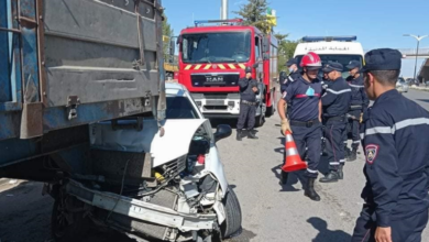 Traffic accidents: 12 people died and 239 others were injured in the last 24 hours - Al-Hiwar, Algeria
