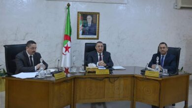 Mourad gives instructions to raise the pace of work so that all public facilities enter into service - Al-Hiwar Al-Jazaeryia