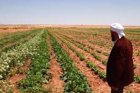 To find out the reality of agriculture, starting this Saturday, an information mission about the Agriculture Committee of the National Assembly in Khenchela - Al-Hiwar Algeria