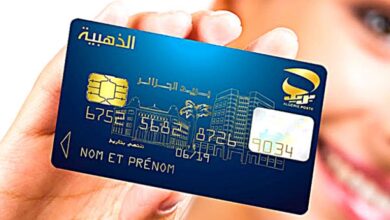 Towards raising the number of gold card users to 14.5 million subscribers - Al-Hiwar Al-Jazaeryia