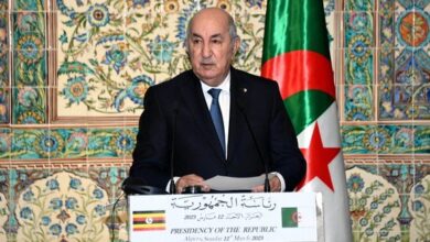 President Tebboune: Developing Algeria's African depth is a strategic direction