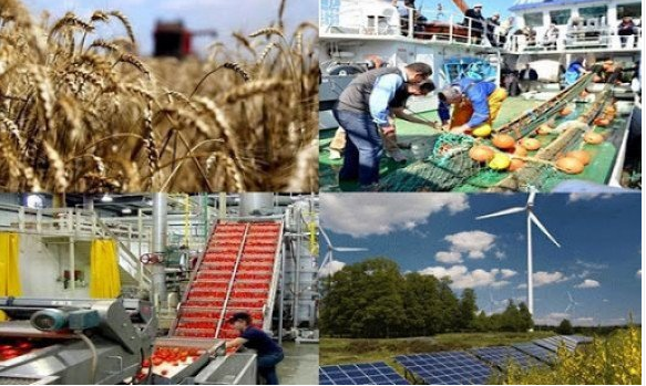 Producers of "Al-Hiwar": We will make Algeria a destination for the manufacturing industry - Al-Hiwar Al-Jazaeryia