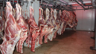 Pumping 30 thousand tons of imported meat during Ramadan at this price - Al-Hiwar Al-Jazaeryia