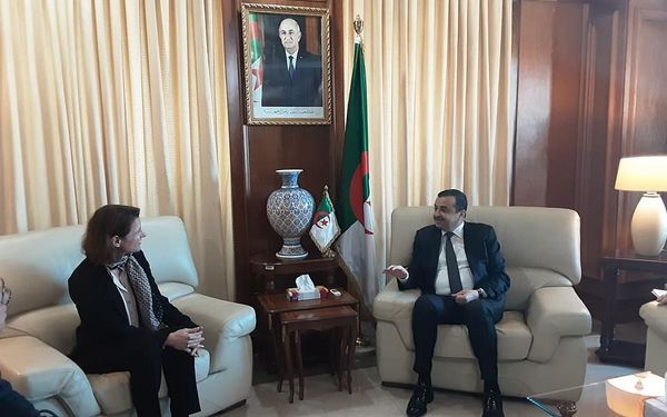 The "Anji" complex is interested in the realization of electricity production stations from solar energy in Algeria - Al-Houar Algeria