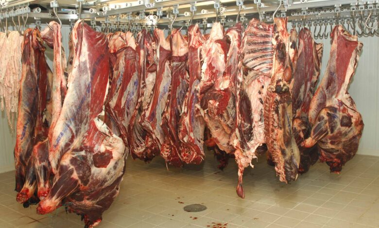 The National Gendarmerie seizes a huge amount of spoiled meat in Touggourt - El Hewar Algeria