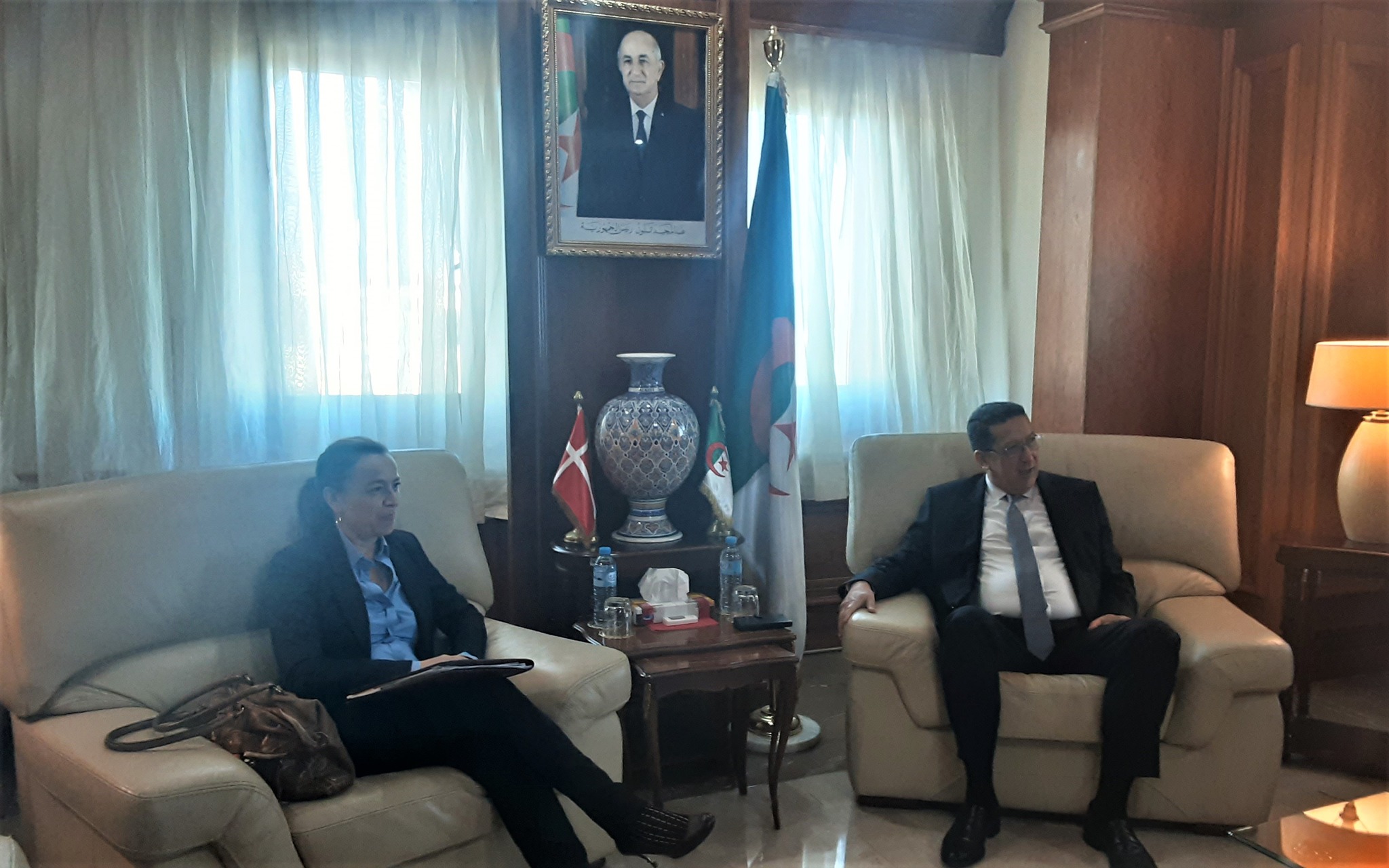 The Secretary General of the Ministry of Energy and Mines discusses the development of renewable energies and their integration into the electrical grid with the Danish Ambassador