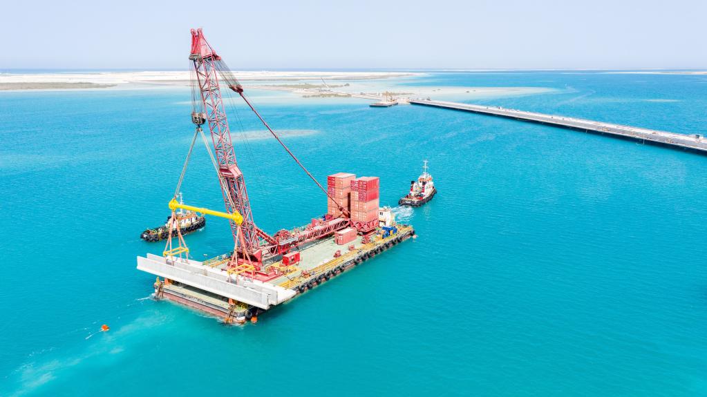 To achieve sustainable development... A Chinese company is working on building the "Green Middle East" initiative - Al-Hiwar Algeria