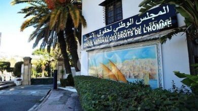 The National Council for Human Rights appreciates the efforts of the Algerian state in taking care of people with autism - the Algerian dialogue