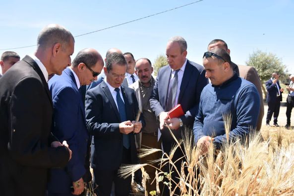 This is what the Minister of Agriculture said about bran prices and deterrent measures for speculators