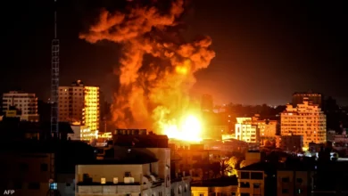 Algeria condemns the brutal raids on the Gaza Strip - Al-Hiwar Al-Jazaeryia