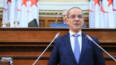 Minister of Agriculture: preparing a law criminalizing the slaughter of female sheep and cows soon - Al-Hiwar Al-Jazaeryia