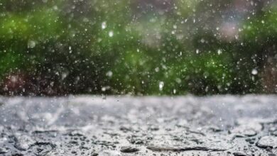 Significant rains may reach 50 mm in several states, starting today - Al-Hiwar Al-Jazaery