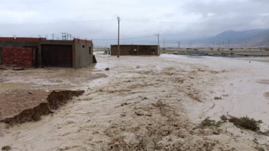 The Civil Protection publishes the outcome of its interventions during the recent weather disturbances - Al-Hiwar, Algeria