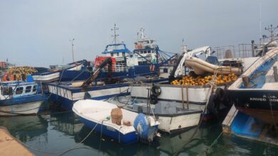 The launch of the national red tuna fishing campaign - Al-Hiwar Algeria