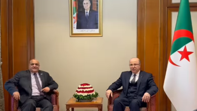 Ben Abdelrahman discusses strengthening the activity of the Organization of Arab Petroleum Exporting Countries - Al-Hiwar Algeria