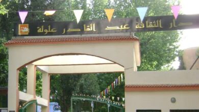 National Salon of the Artistic Image in Tlemcen, starting next Monday - Al-Hiwar Al-Jazairia