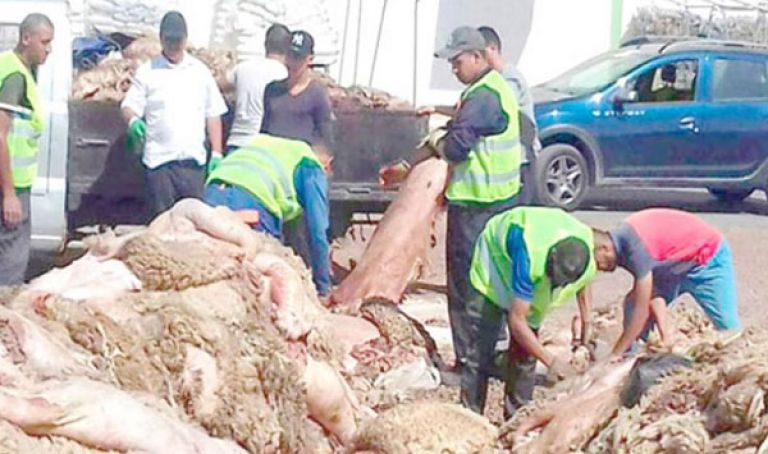 The Ministry of Industry seeks to consolidate the culture of retrieval among Algerians - Al-Hiwar Al-Jazaeryia