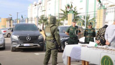 The capital..the National Gendarmerie puts an end to the activity of a drug gang - Al-Hiwar Algeria