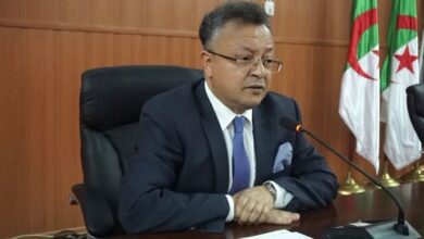 Badari issues instructions to university presidents to prepare for the adoption of English as a language of instruction starting next year - Al-Hiwar Al-Jazaeryia