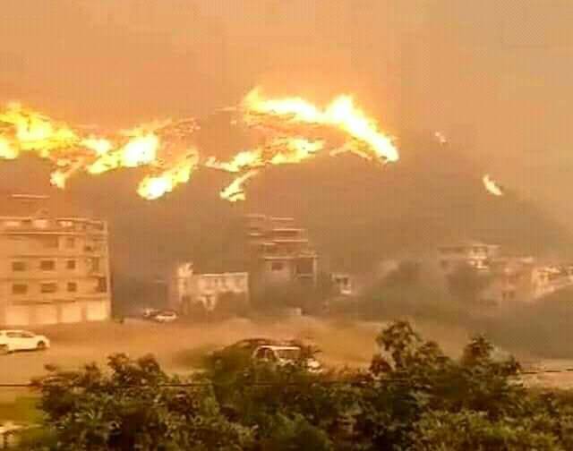 Jijel...the province of forests announces control of the state's fires - Al-Hiwar Algeria