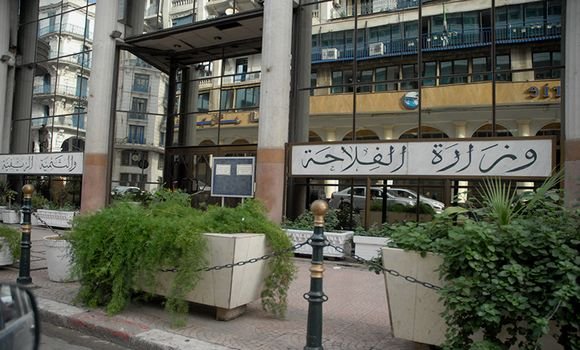 The Ministry of Agriculture: a preventive plan to combat locusts, starting from this July - Al-Hiwar Algeria