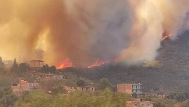 Civil protection controls Bejaia fires