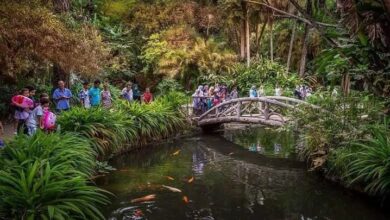 Al-Hamma Park.. More than 1,600,000 visitors since the beginning of this year - Al-Hiwar Al-Jazaeryia