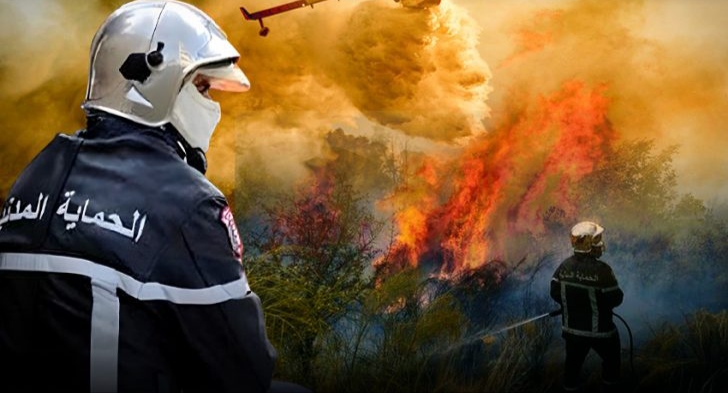 Civil Protection extinguished nearly 50 fires during the past hours - Algerian Dialogue