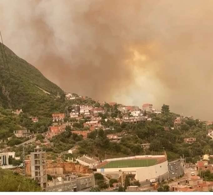 Civil Protection: extinguishing 10 fires in several states during the last 24 hours - Algerian Dialogue