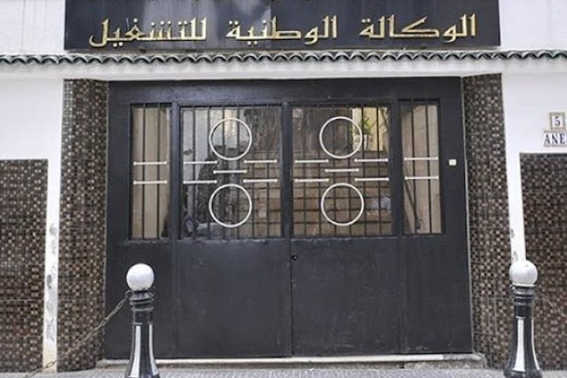 Important notification for beneficiaries of the unemployment grant - Algerian Dialogue