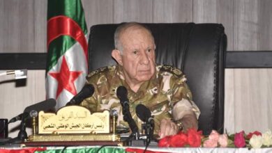 Lieutenant General Chanegriha urges more efforts in the field of aviation security - El Hewar Algeria