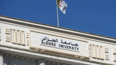 Algerian universities have become among the largest