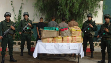 The army carries out qualitative operations in the fight against organized crime