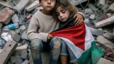 Popular marches tomorrow, Thursday, in support and advocacy for the Palestinian people across all states - Al-Hiwar Algeria