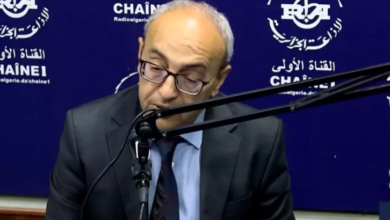 Professor Tekhinissa: The Boughzoul-Djelfa-Laghouat line has a great strategic dimension in the economic and social field - Algerian Dialogue