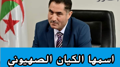 The Minister of Communications calls on the Arab media to call things by their proper names, especially the Zionist entity - Algerian Dialogue