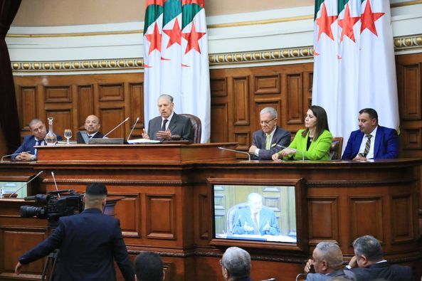 The National Assembly... ratifying the law protecting and preserving state lands - Algerian Dialogue
