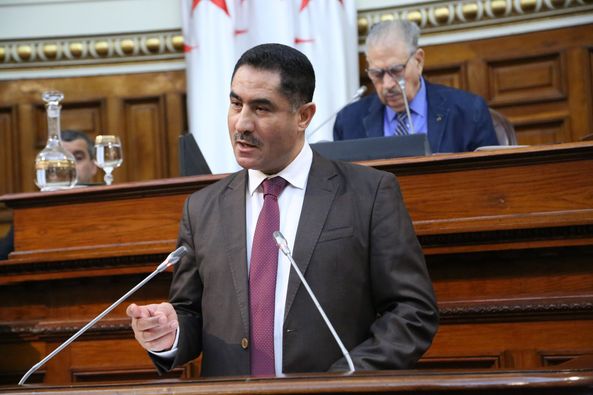 Unanimous approval of the laws for the written and electronic press and audiovisual activity - Algerian Dialogue