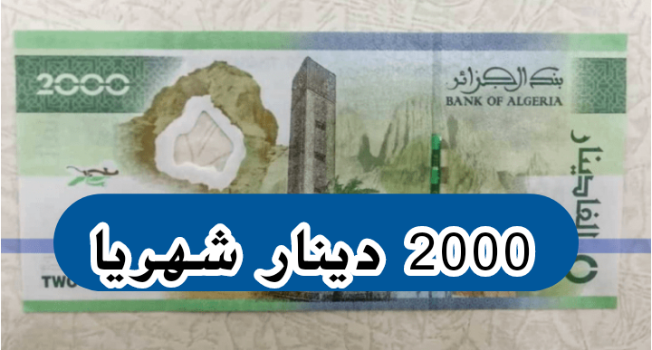 Within the framework of the zero paper policy, the process of renewing the university scholarship begins - Algerian Dialogue