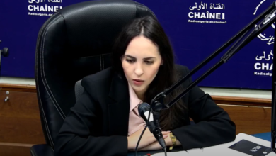 Algeria is second in Africa in the field of growth and prosperity of emerging enterprises - Algerian Dialogue