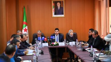 Local insulin production saved 100 million euros