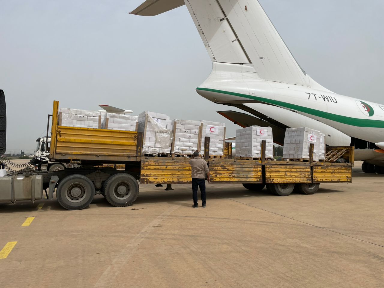 Algeria sends humanitarian aid to Gaza - New Algeria