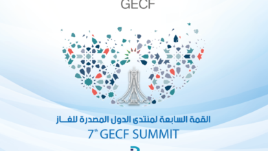 Experts: The Algeria Declaration is a successful step towards global energy stability - Algerian Dialogue