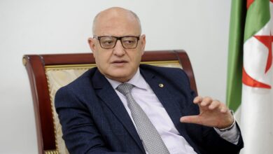 Marabi: 500 scholarships benefited trainees from 24 African and Arab countries - New Algeria